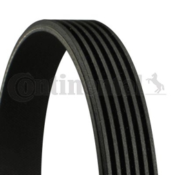 PASEK WIELOROWKOWY 6PK1453