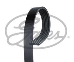 PASEK WIELOROWKOWY 6PK1025
